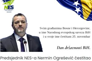 NES - Nermin Ogresevic