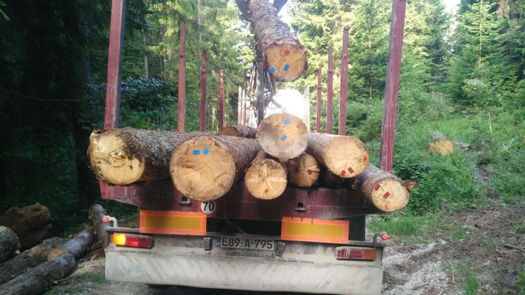 drva na kamionu